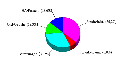 Budgetanteile als Kuchengrafik